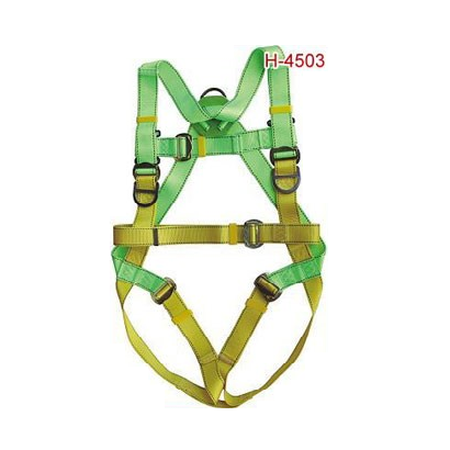 Full Body Safety Harness Adela 4503, with large back padding