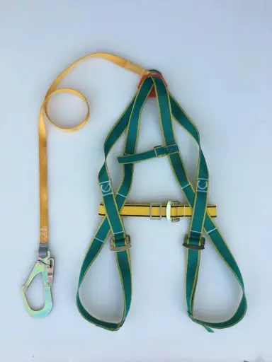 Jumbo full body seat belt (blue, yellow) 1 large hook