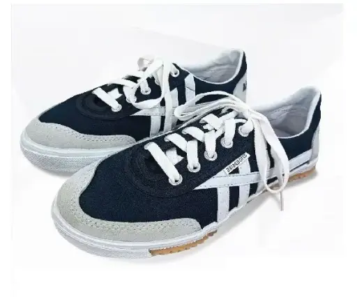 ASIA CSH03 men's canvas shoes, lace-up (36~44)