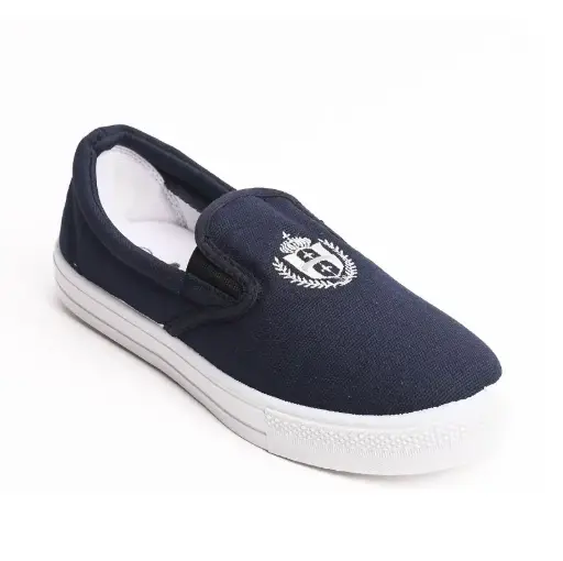 ASIA men's canvas shoes, slip-on style, blue (39~44)