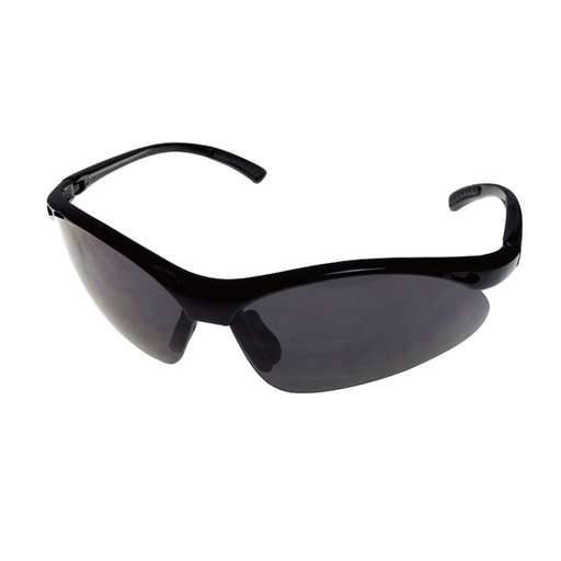 Kính bảo hộ Longdar 2690