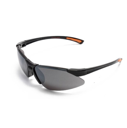 91269M - Double Shield safety glasses